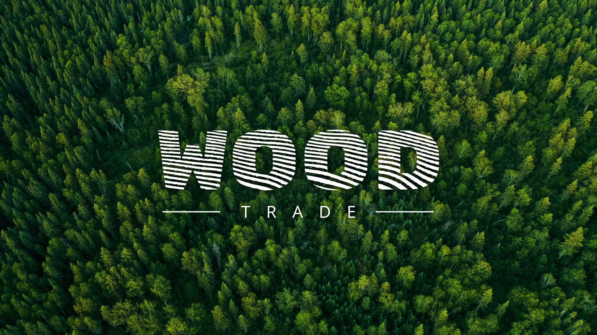 Разработка интернет-магазина компании «Wood Trade» в Новом Осколе